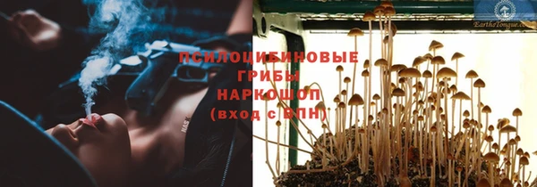 крисы Рославль