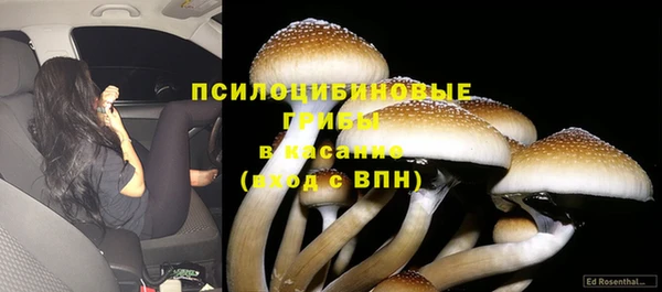 спайс Ростов
