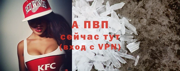 спайс Ростов