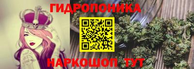 шишки Старая Купавна