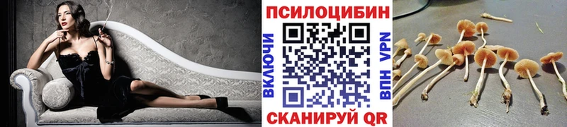 где продают   Пенза  Галлюциногенные грибы мухоморы 
