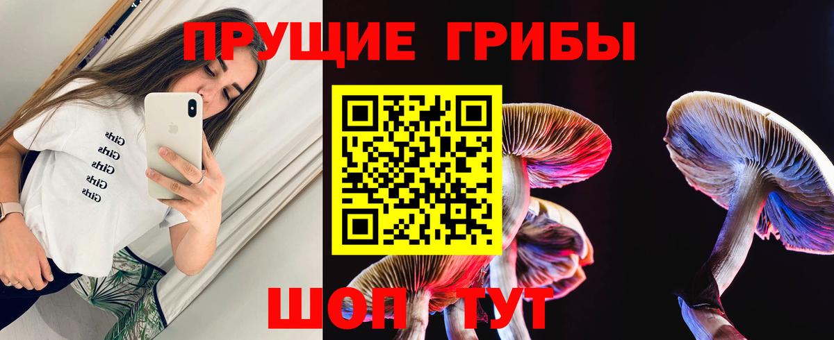 Пенза  Псилоцибиновые грибы ЛСД  Псилоцибиновые грибы мухоморы  Вход с VPN 
